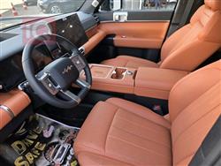 بي واي دي ليوبارد 7